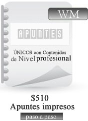 Apuntes curso webmaster plus